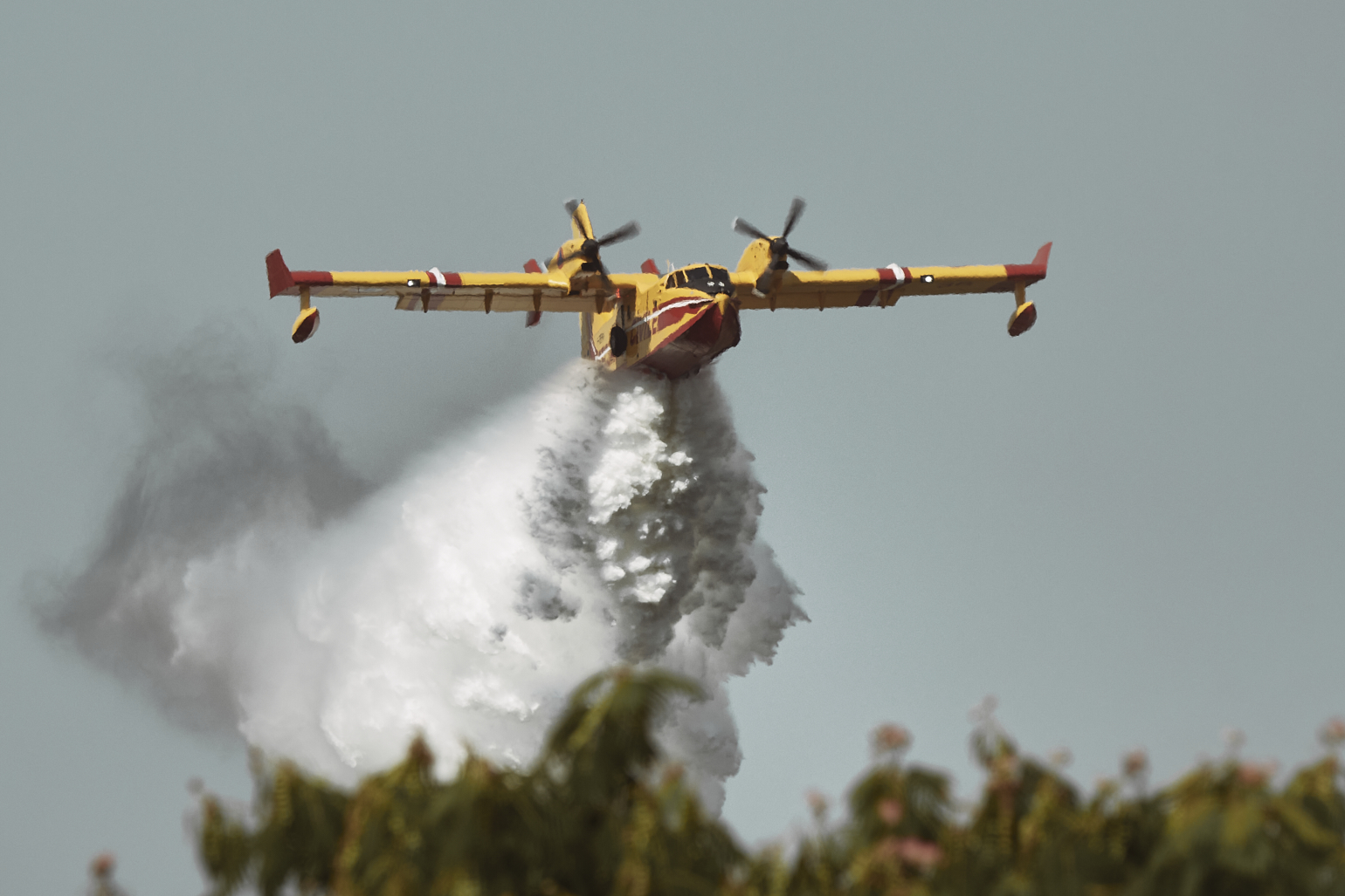 Canadair larguant de l'eau  au-dessus d’une forêt, en plein ciel bleu.